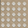 25 Tiger Paws Award Decal